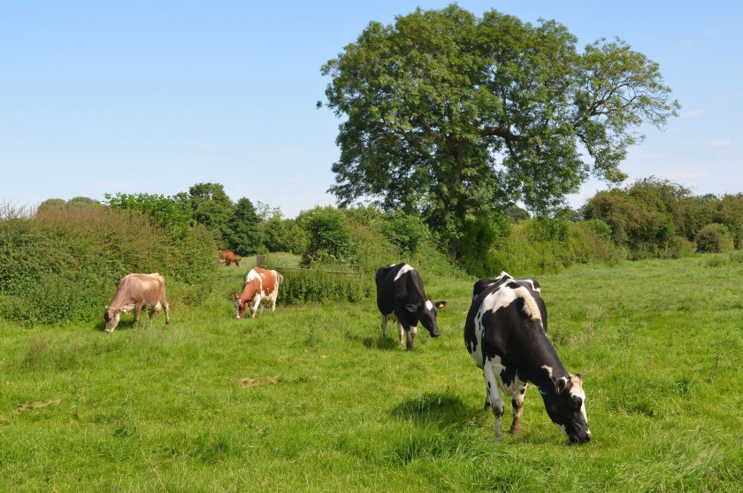 Organic producers are being told to act now and prepare for a difficult winter