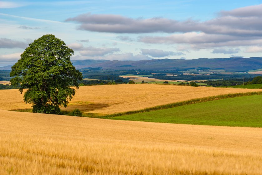 Union says food security must not be sacrificed for net zero