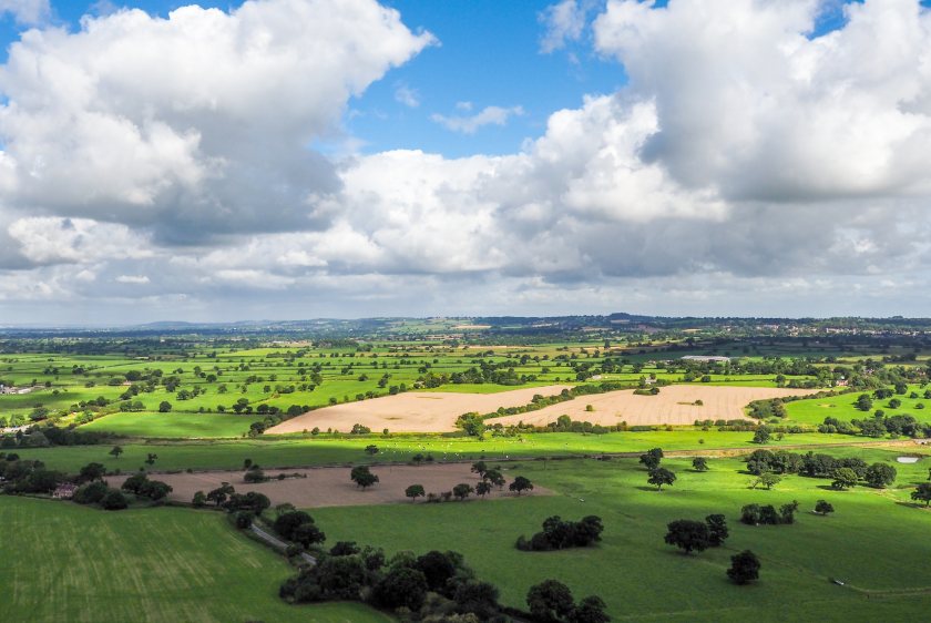 Industry leaders say government must act now, warning that the resilience of the UK food system is vital