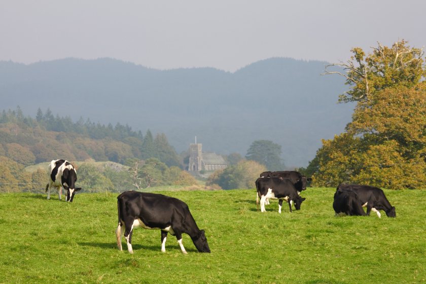 The union is calling for an overhaul of emissions metrics to reflect farming’s true impact