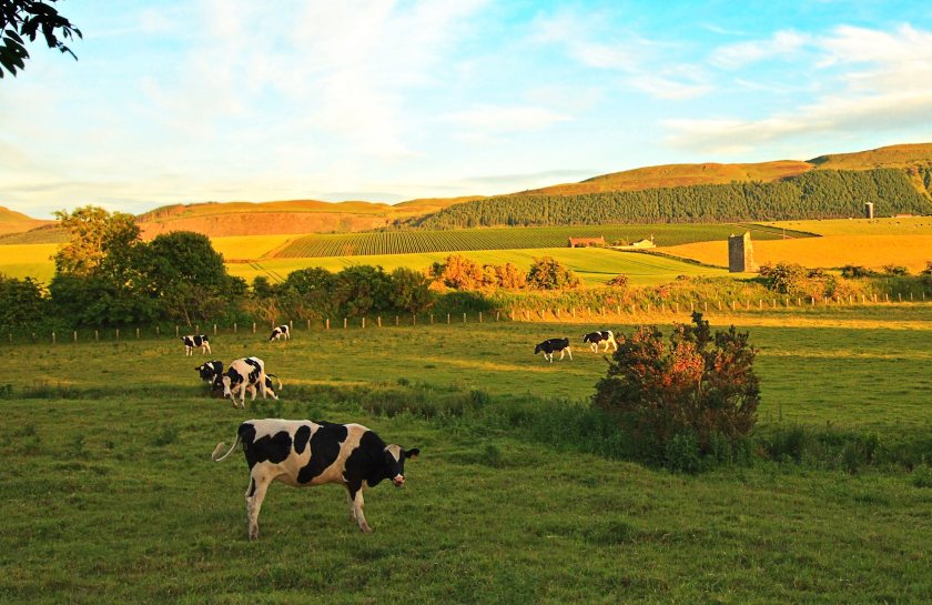 In Dumfries and Galloway alone, more than 25 dairy farms depend on overseas staff