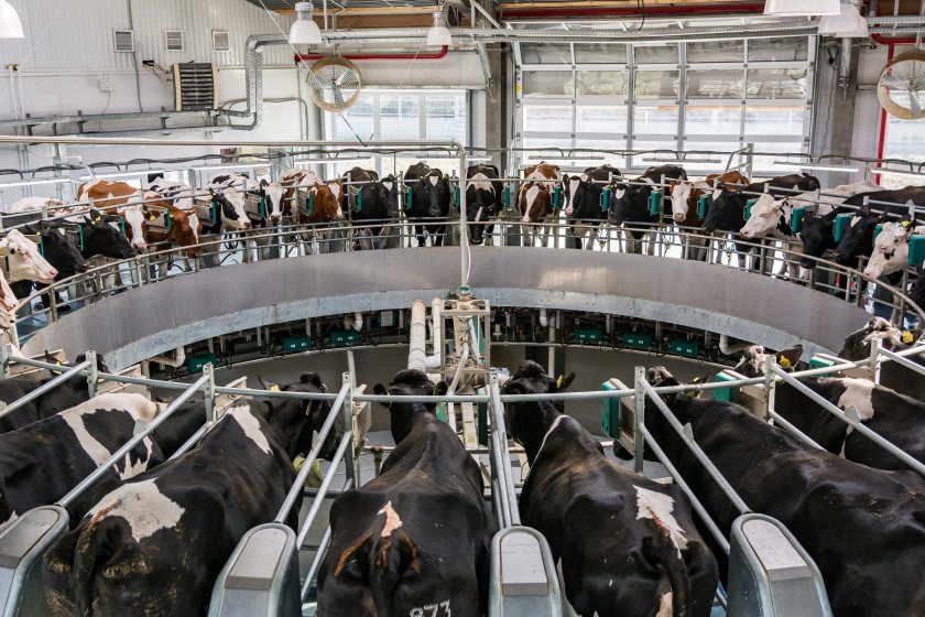 The sector warns that looming milk price cuts could push family businesses to the brink this winter
