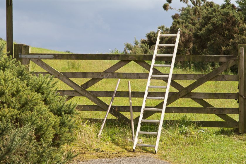 The initiative will cover farms of all sizes across the island of Ireland
