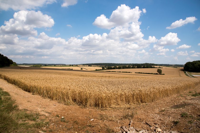 British farmers warn harvest shortfalls are becoming the new normal
