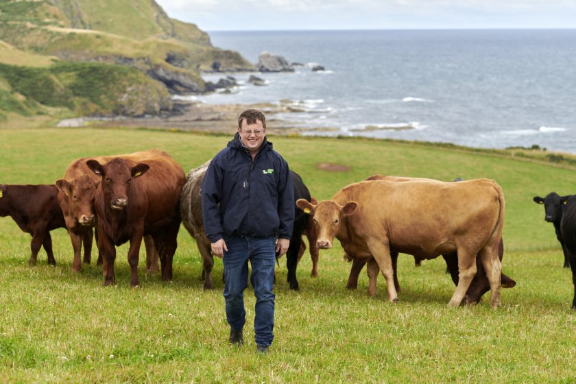 Bruce Irvine is trialling electronic boluses in his suckler cows at the Banff and Buchan Monitor Farm