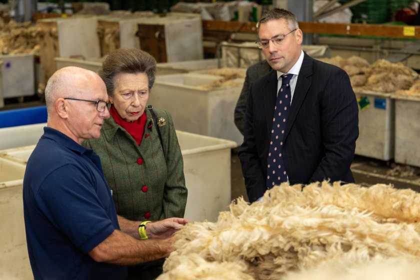 (Photo: British Wool)