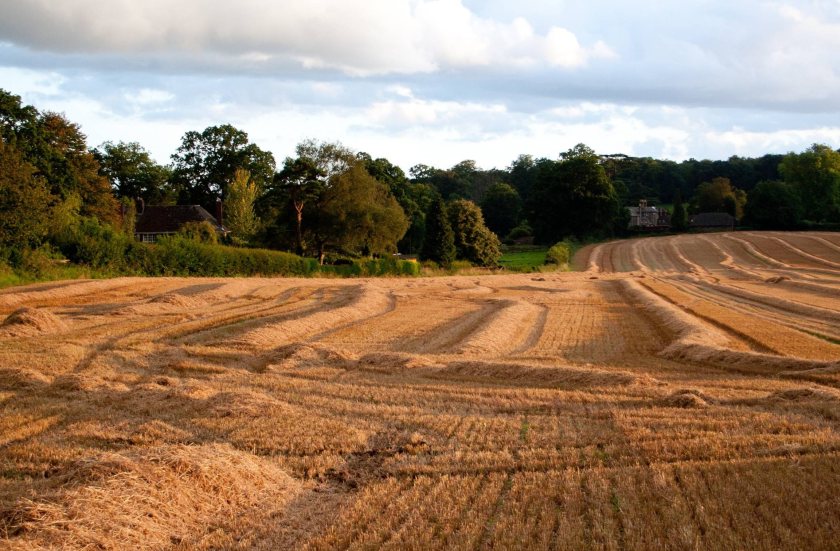 Many wheat growers are aware of biostimulants but remain sceptical, citing cost and variable results