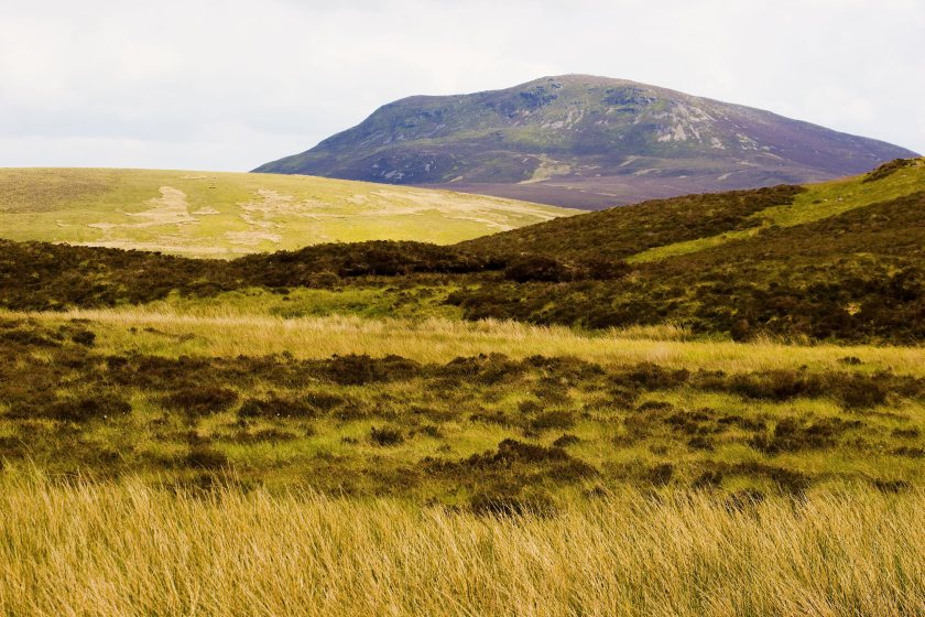Wales' peatland revival fund has reopened with a £700,000 boost 