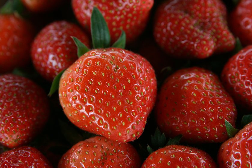 Many growers are considering scaling back or leaving the sector entirely