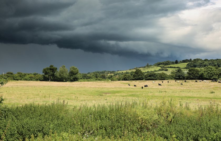 Storm clouds over British agriculture: 74% of farmers fear for the future of UK farming
