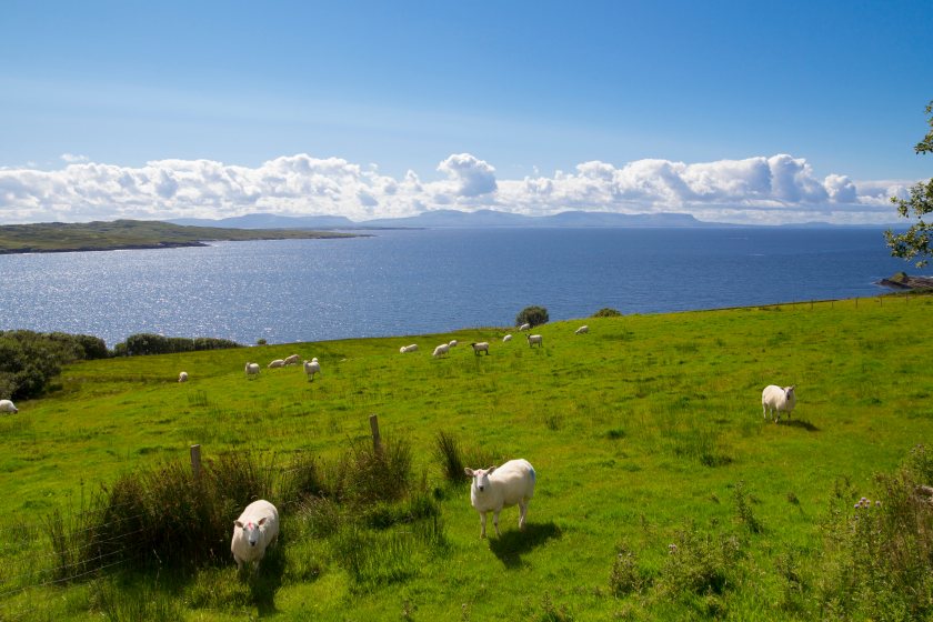 The UFU says farmers have “had enough” of delays and inaction from the department