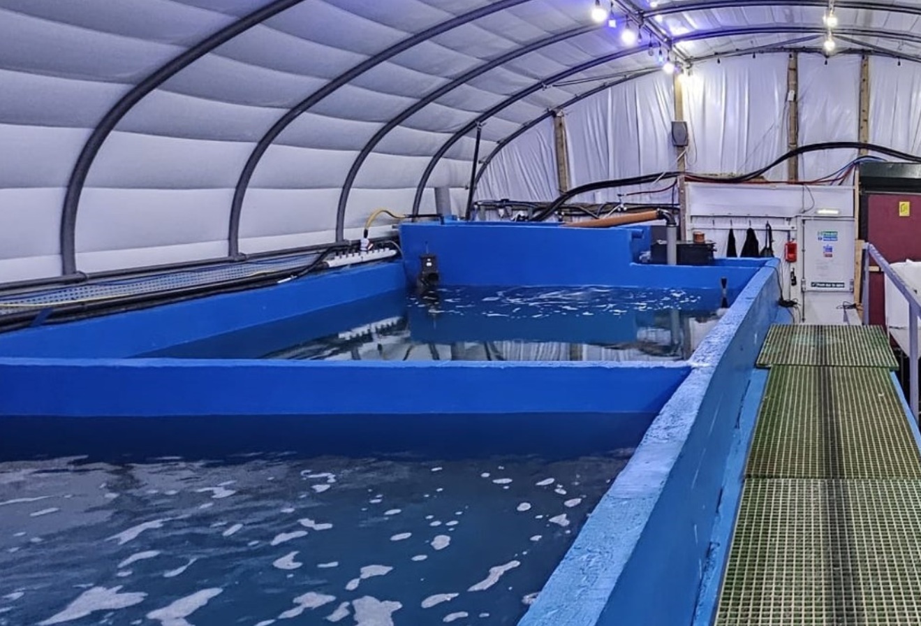 High-tech indoor tanks like these could bring king prawn farming to UK farmland (Photo: Rastech Ltd)
