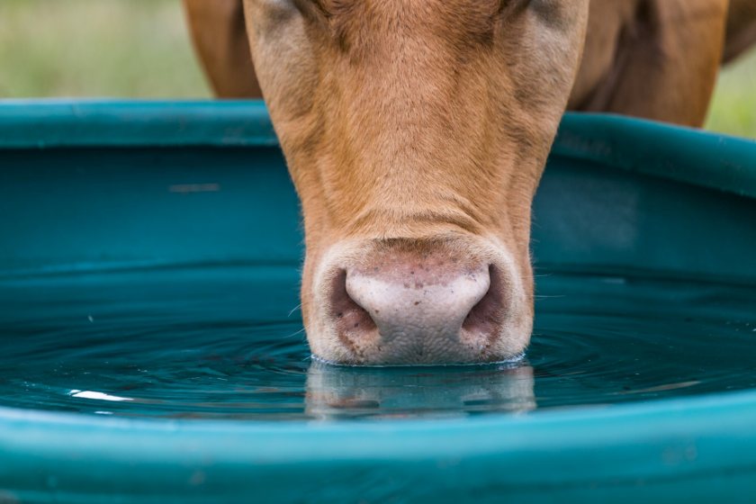 A Somerset dairy has lifted yields after tackling a hidden borehole contamination problem