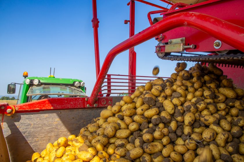 A landmark survey aims to capture the most accurate picture yet of Britain’s potato sector