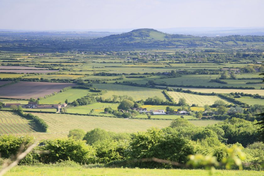 Savills reports a tighter land market as fewer farms come forward and competition intensifies