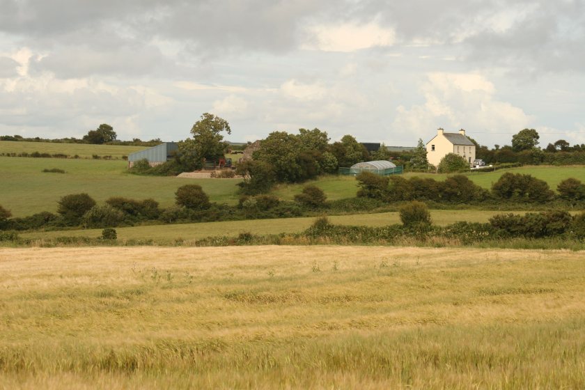 Countryside under pressure: UFU says DAERA’s ammonia protocol is freezing farm improvement