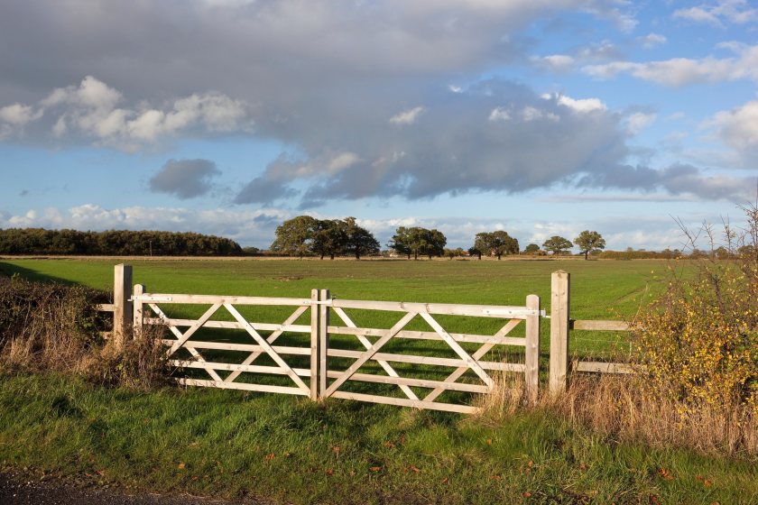 Rural Britain under strain as nearly 10,000 farms have disappeared since 2021