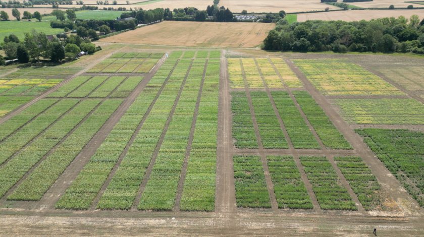 PGRO trials continue to push pulse performance despite a challenging 2025