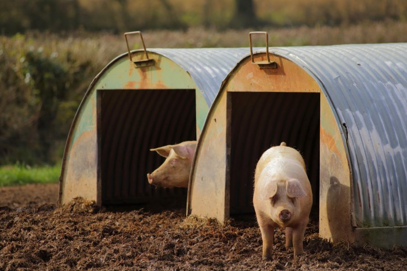 The modules have been developed over the past 18 months with industry input