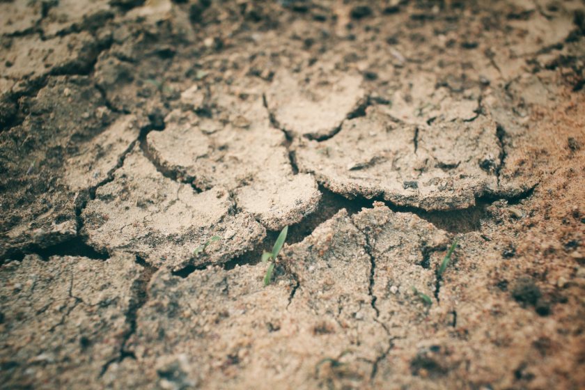 Drought-scorched crops across the UK have left arable farmers facing an £828m hit to revenues