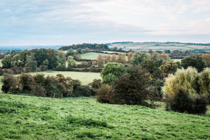 Despite flooding in some areas, drought recovery remains fragile for agriculture