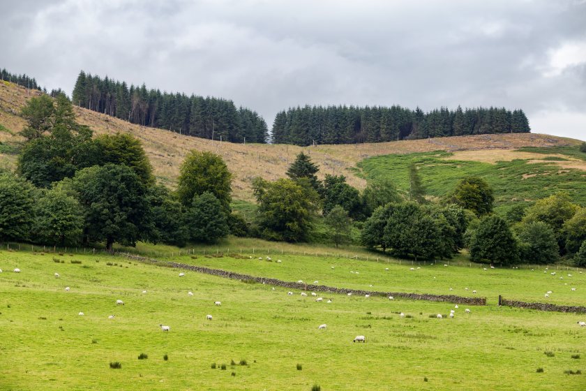 The Scottish Farm Business Survey collects real-world data that guides future agricultural policy
