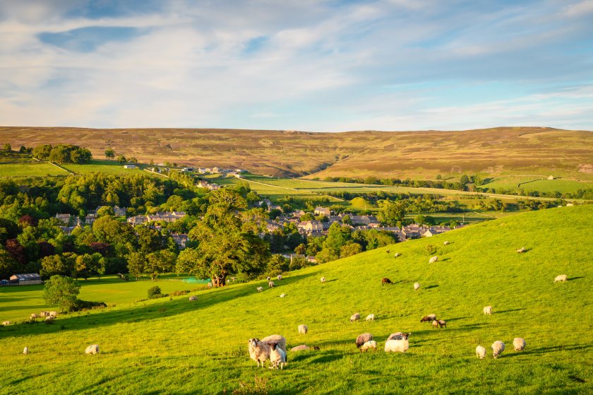 Durham’s new motion commits the council to prioritising local meat and dairy