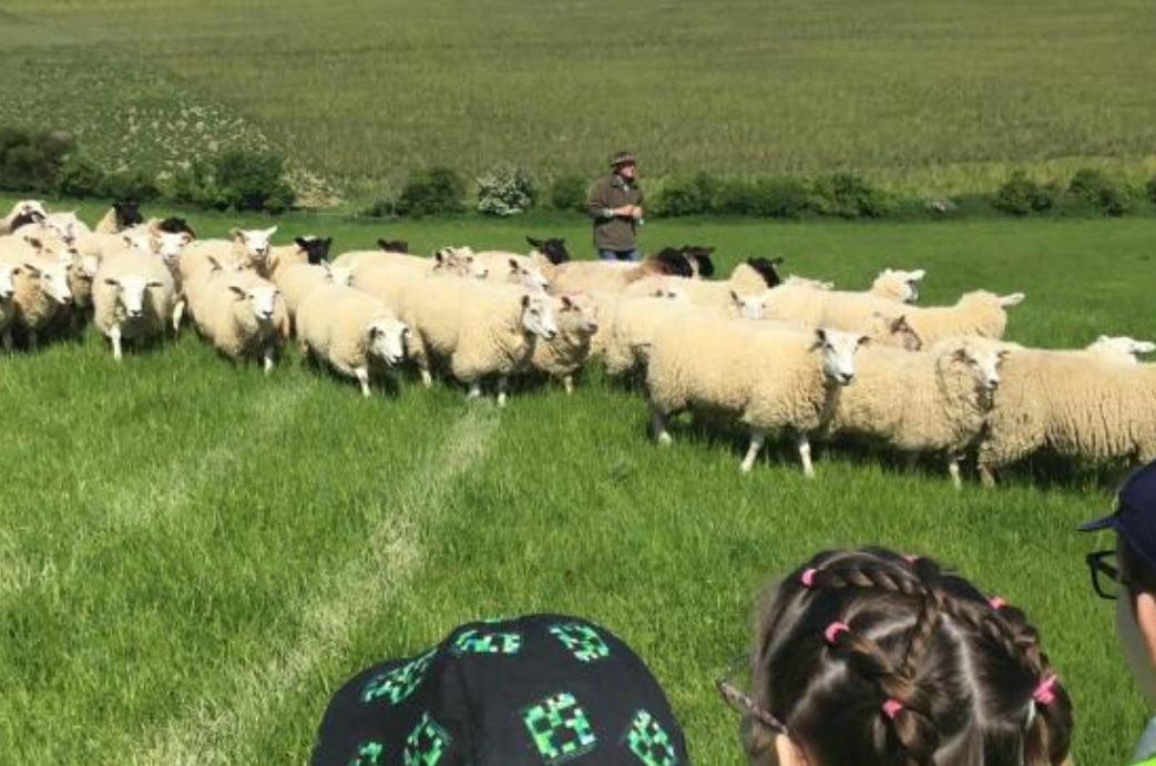 (Photo: Brighton and Hove City Council)