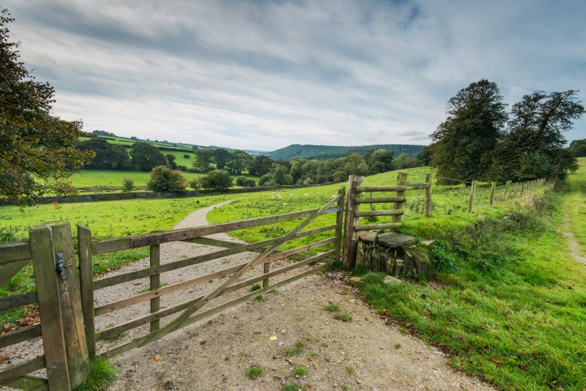 Strategic planning is becoming increasingly important for farms navigating a changing policy landscape