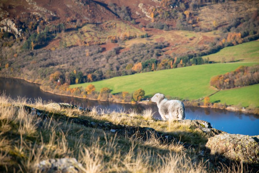 “Concerns raised over the impact of a proposed National Park on rural services and communities