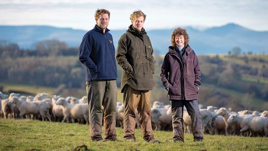 Genetics is delivering real financial returns for Welsh sheep farmers, new data shows