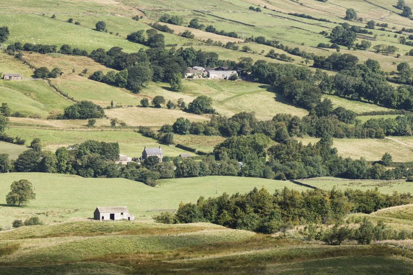 Rural businesses are reassessing viability amid regulatory change and higher costs