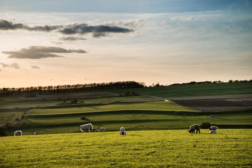 Changes to APR are expected to protect family farms from being sold to meet tax bills