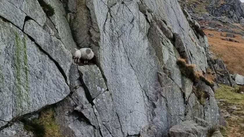 (Photo: Ogwen Valley Mountain Rescue Organisation)