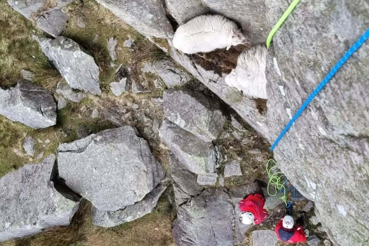 (Photo: Ogwen Valley Mountain Rescue Organisation)