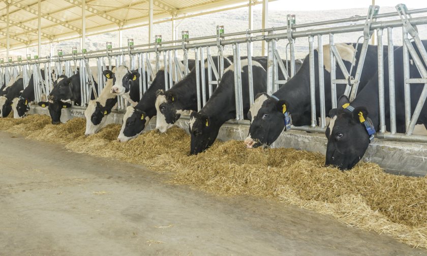 Finalists showcase innovation aimed at improving efficiency and sustainability on farm