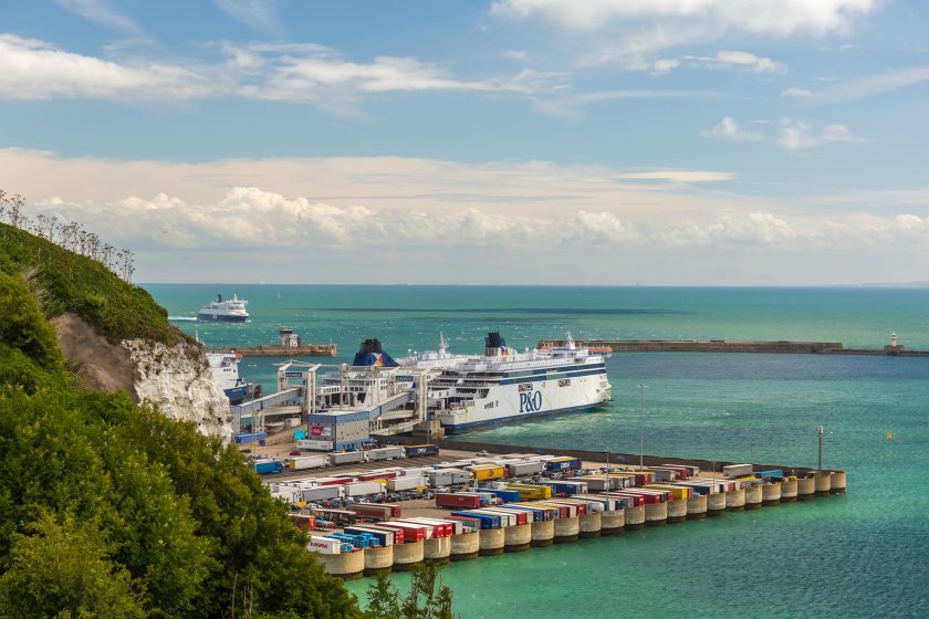 Weak enforcement at ports such as Dover has been criticised for leaving the UK exposed to disease threats