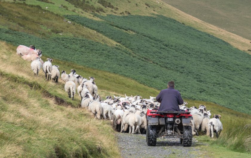 Almost half of farmers say they have considered quitting in the past year