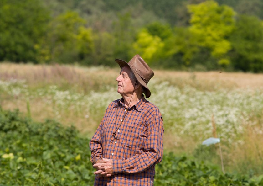 Safety bodies say small changes can help older farmers stay active for longer
