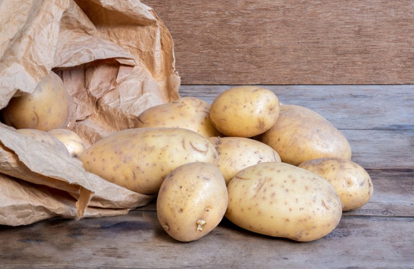 Maris Piper remains Britain’s best-known potato, but its long-term role is under scrutiny