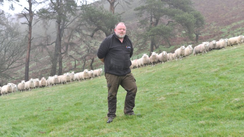 Alun Jones has seen fewer losses and less intervention at lambing after introducing performance recording