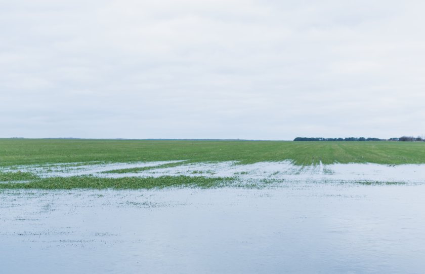 Saturated ground conditions are tightening slurry storage capacity across Northern Ireland