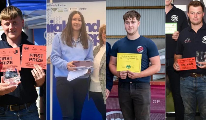 (Photo: National Sheep Association)