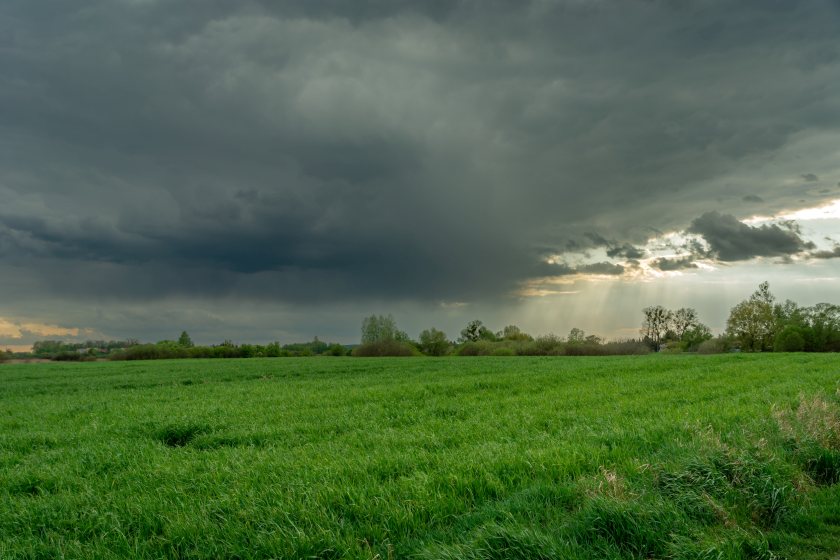 A wet and turbulent start to the year could tighten UK agricultural supplies ahead of Easter
