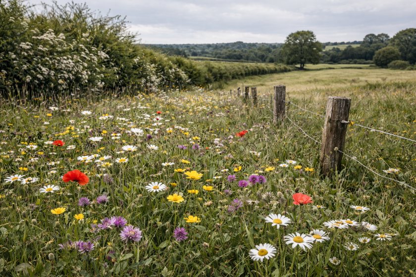 Farmers fear demand could outstrip budget within weeks of applications reopening