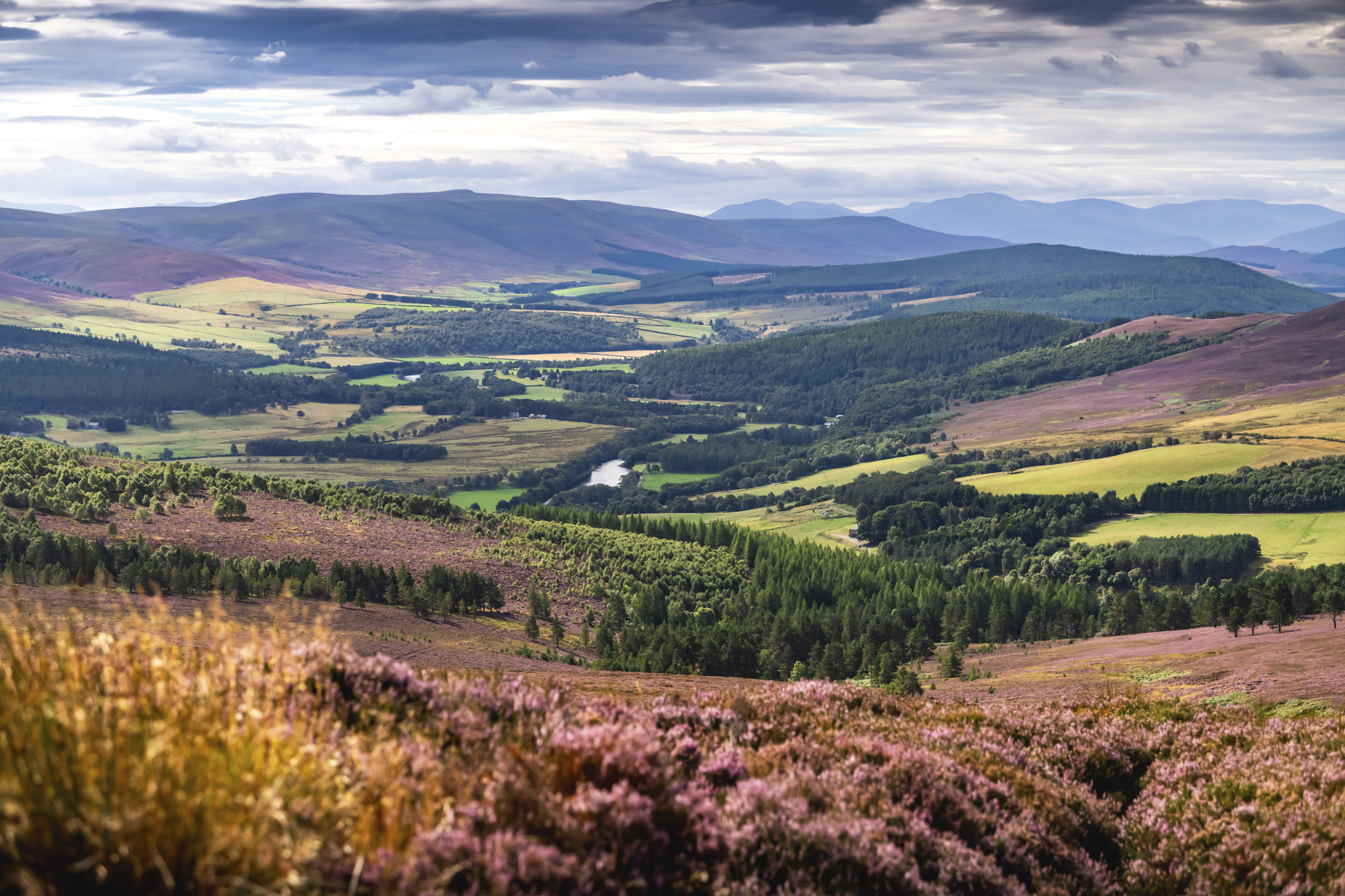 Around 1,100 acres of peatland restoration strengthen the estate’s environmental credentials
