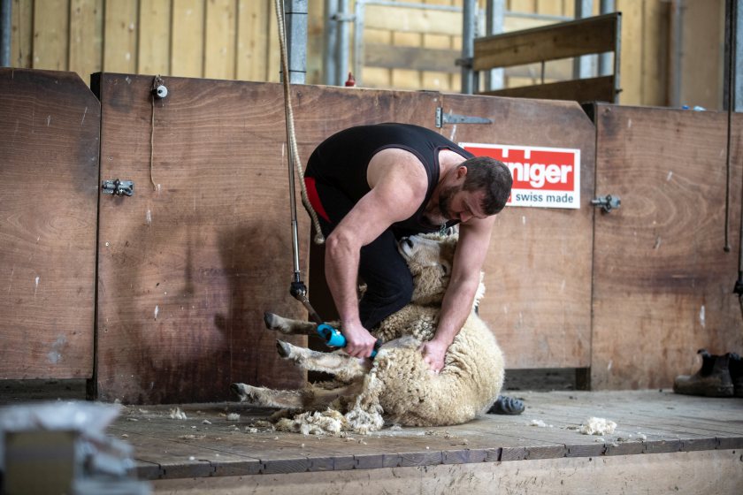 England’s six-strong team is set to compete against 28 nations (Photo: British Wool)