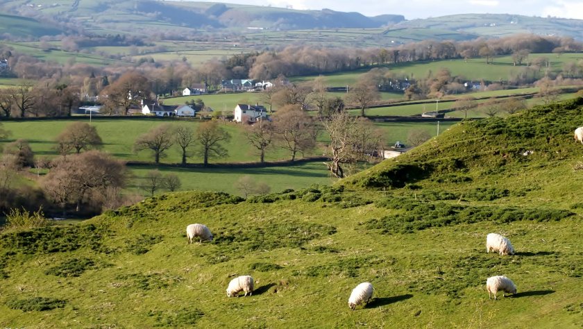 Farmers be able to access low-interest loans to invest in modern equipment and improve efficiency on farm