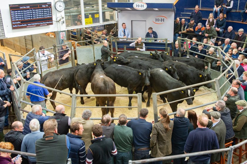 Strong demand in the live ring pushes livestock market turnover past £3bn
