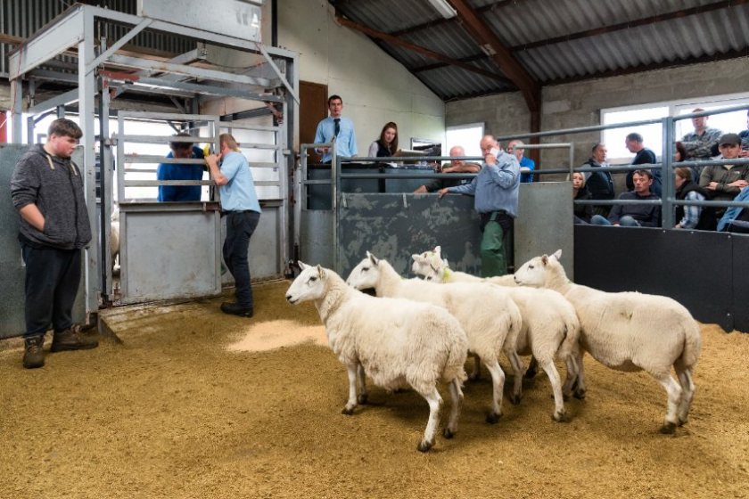 The relocation will help secure the future of livestock trading in the region